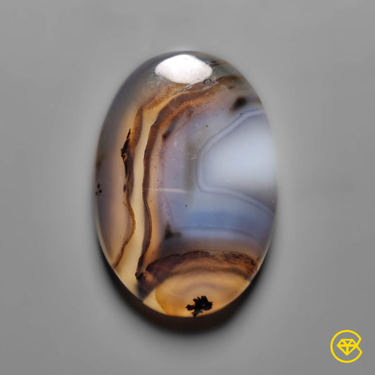 Montana Agate