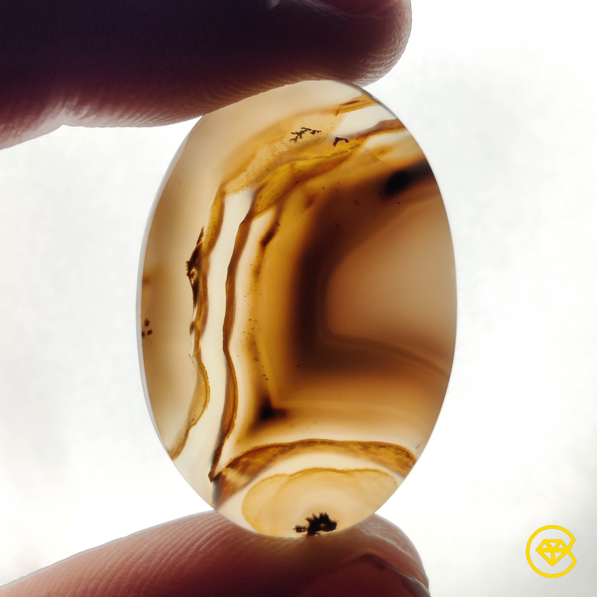 Montana Agate
