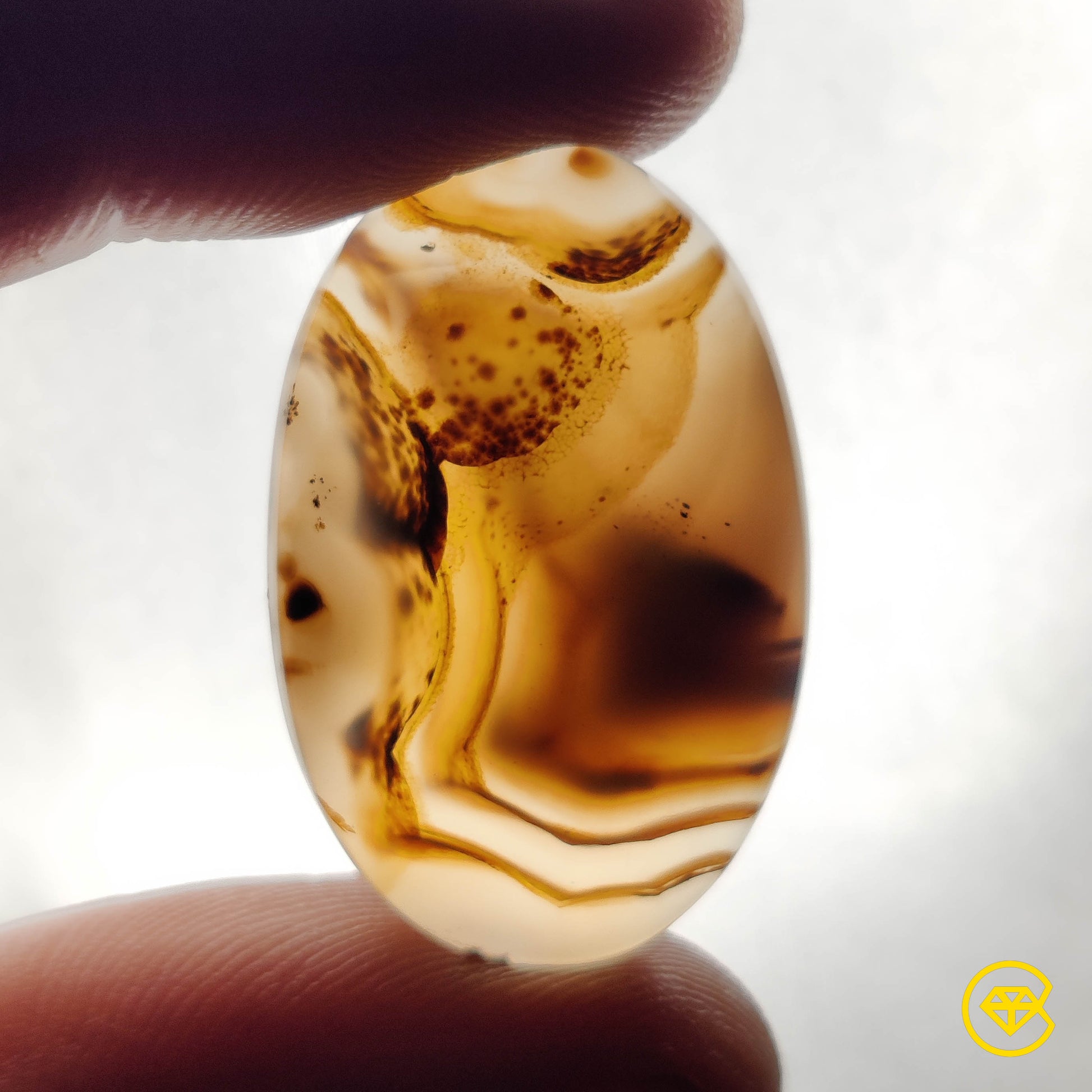 Montana Agate
