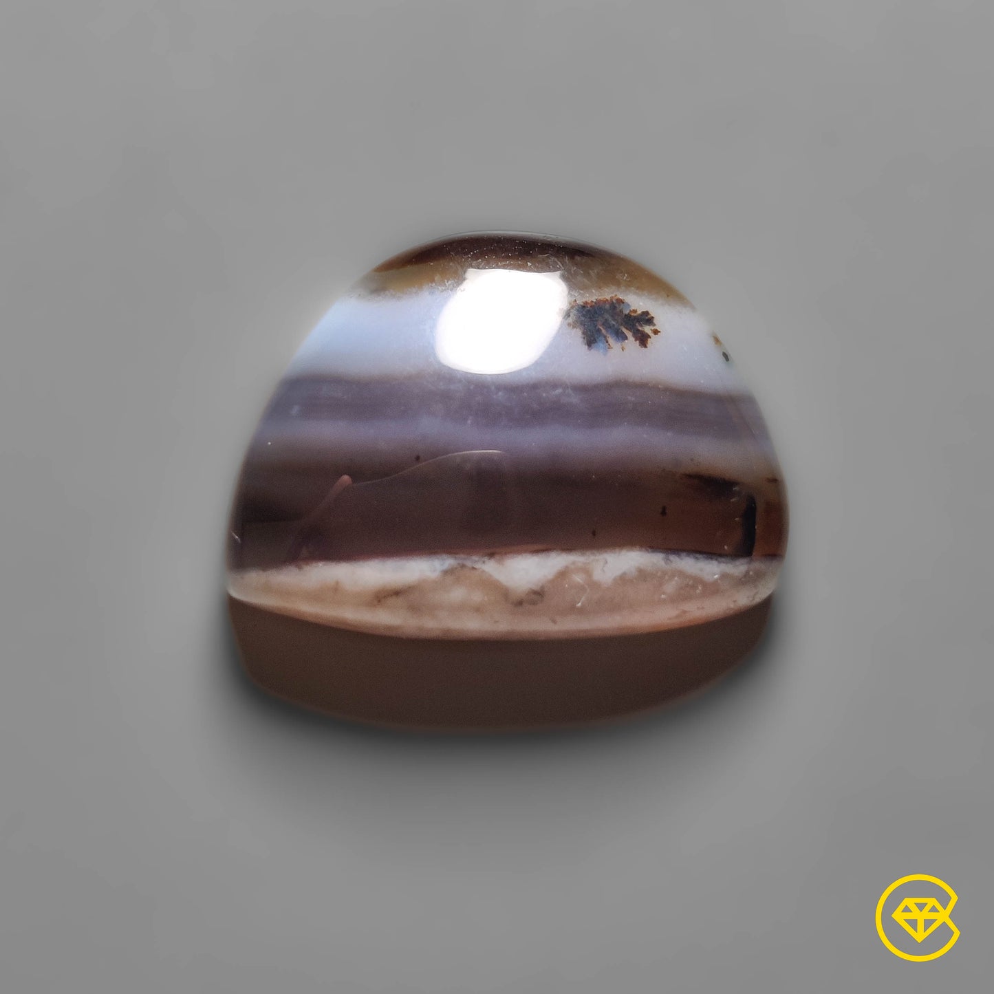 Montana Agate