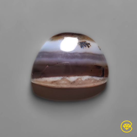 Montana Agate
