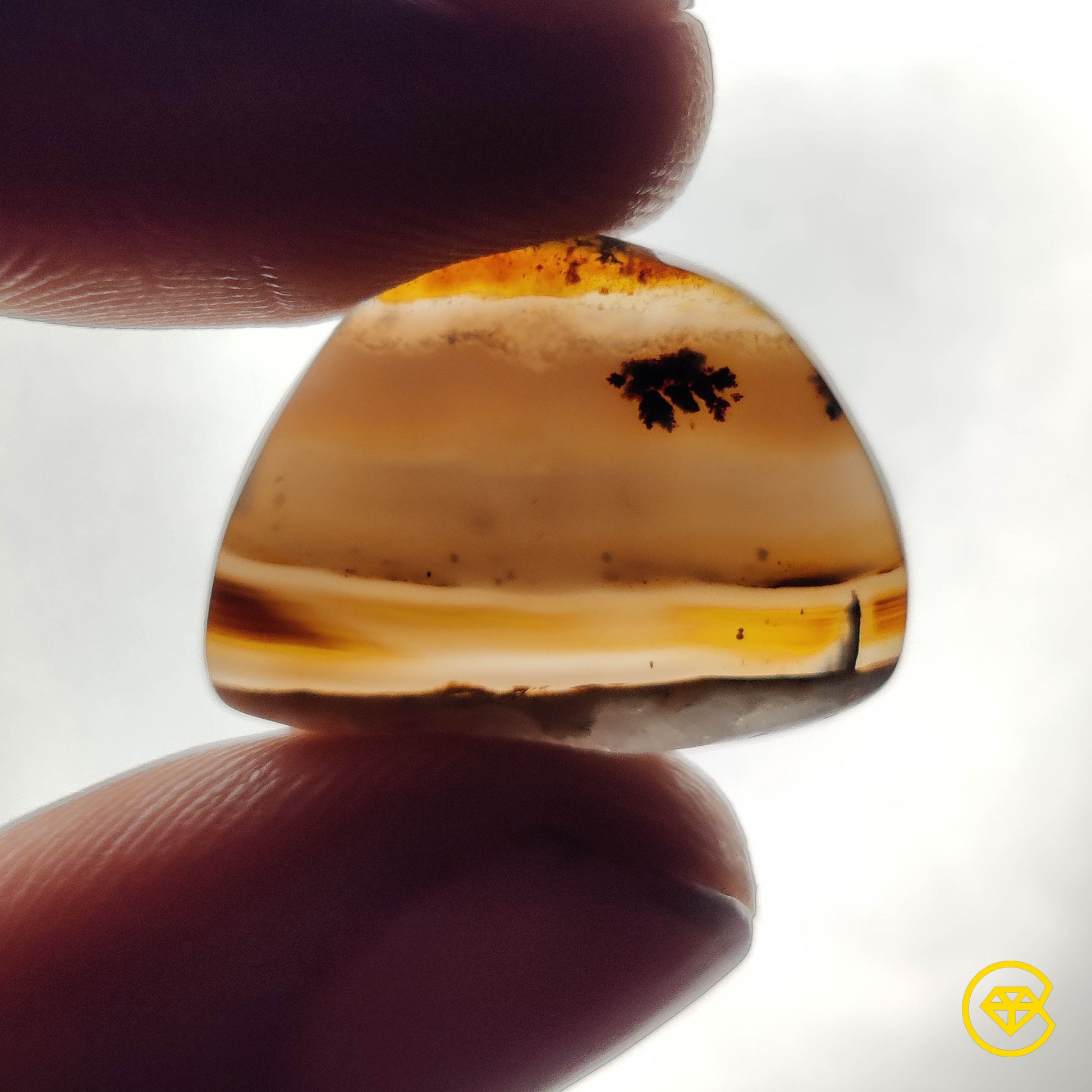 Montana Agate