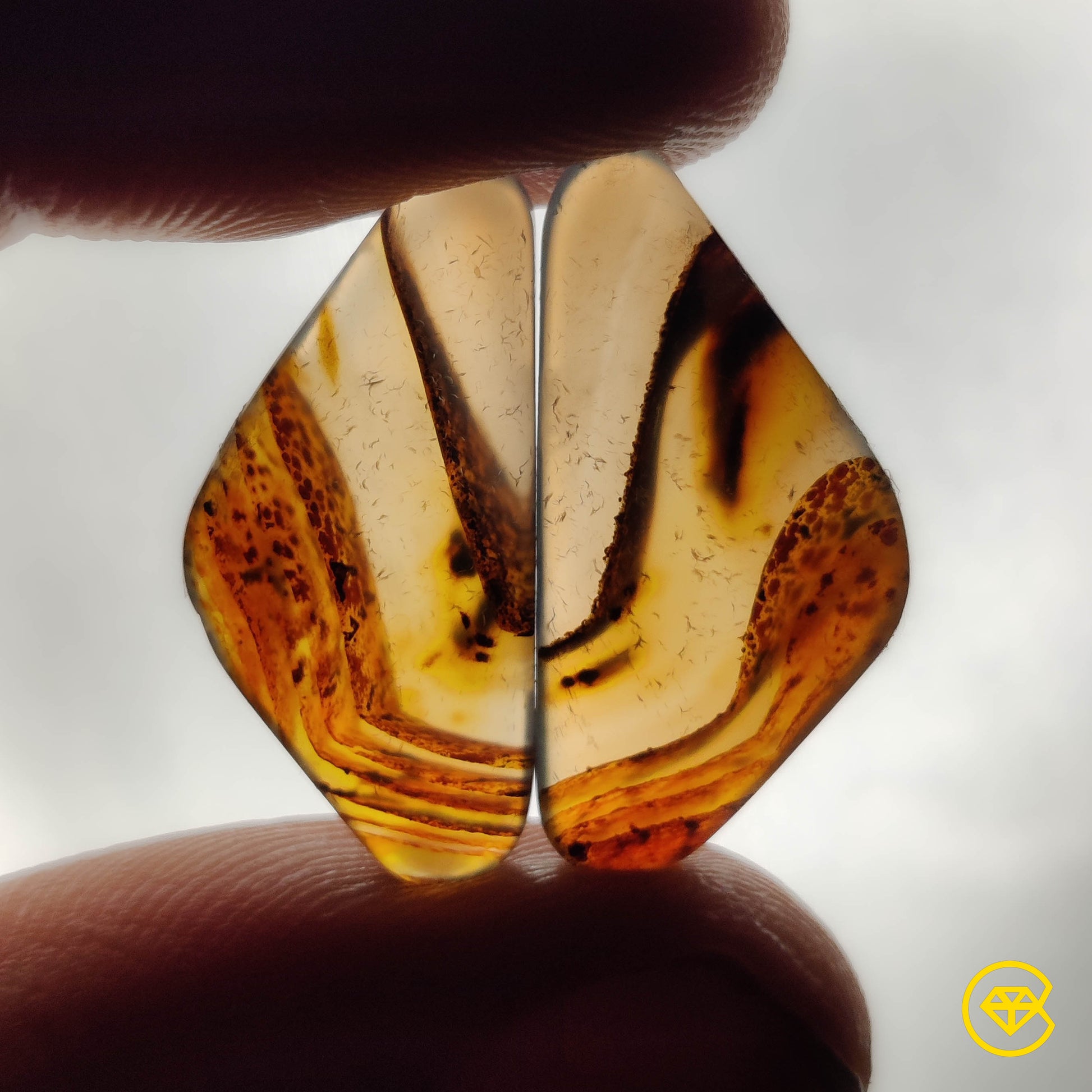 Montana Agate