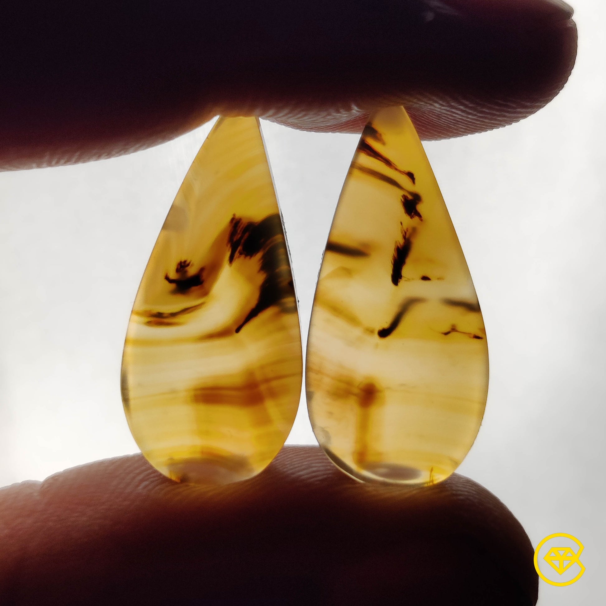 Montana Agate