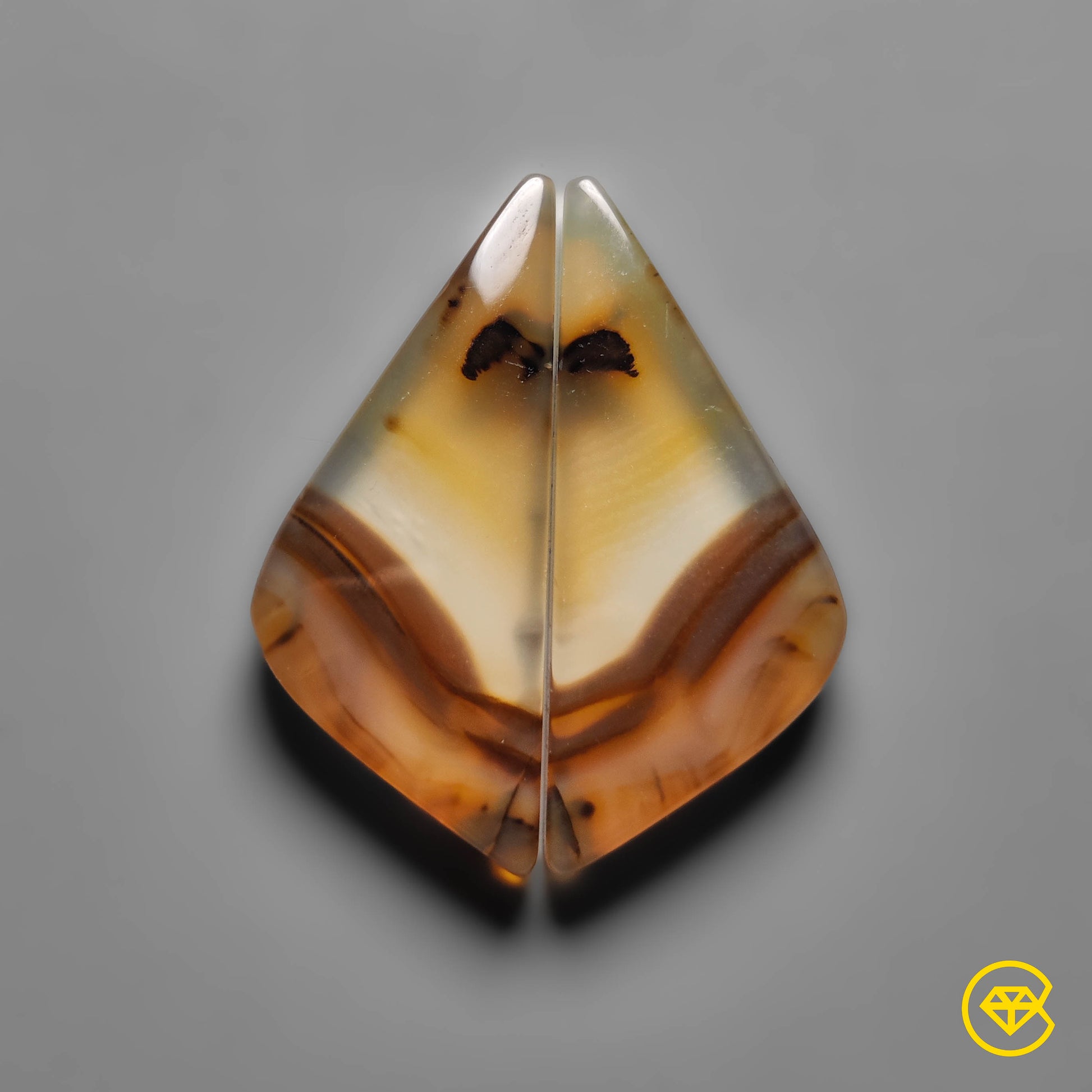 Montana Agate