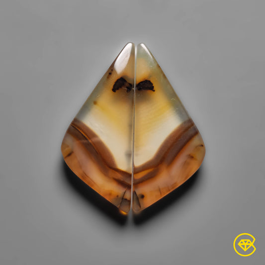 Montana Agate