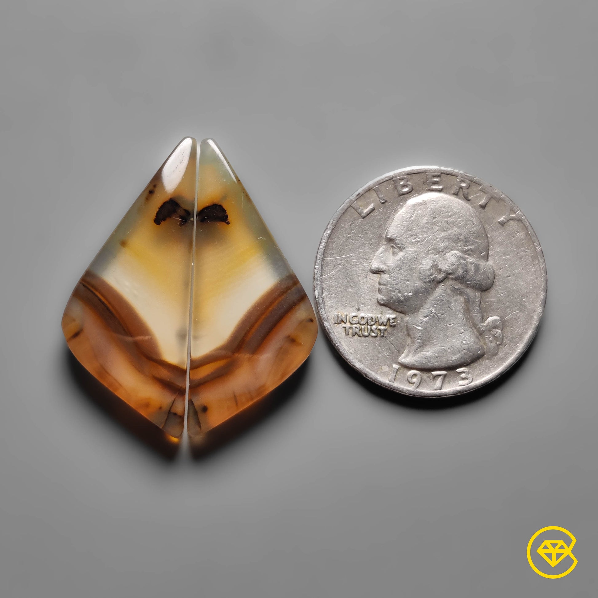 Montana Agate