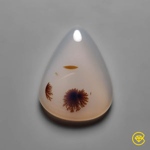 Scenic Agate Cabochon