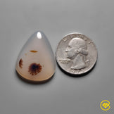 Scenic Agate