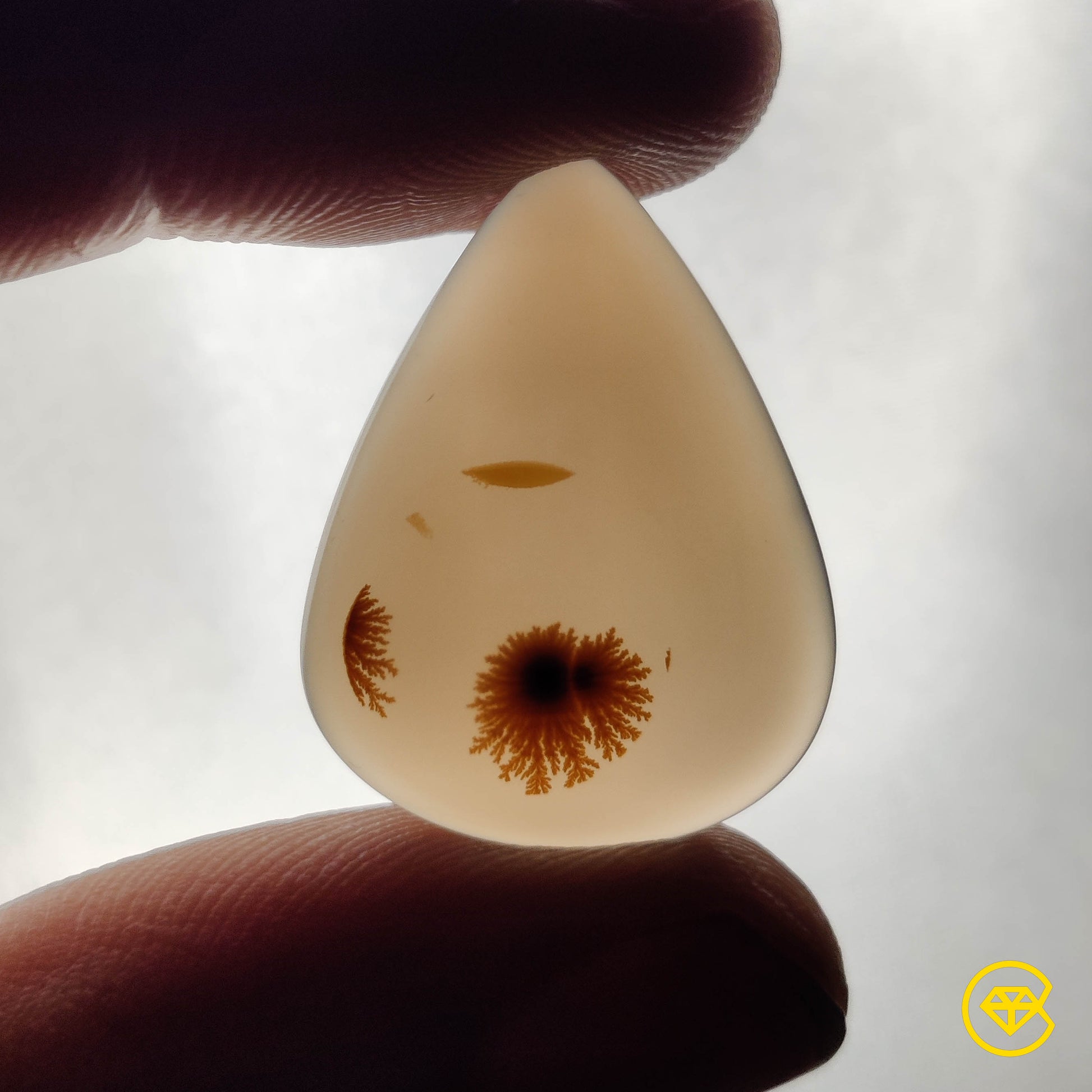 Scenic Agate