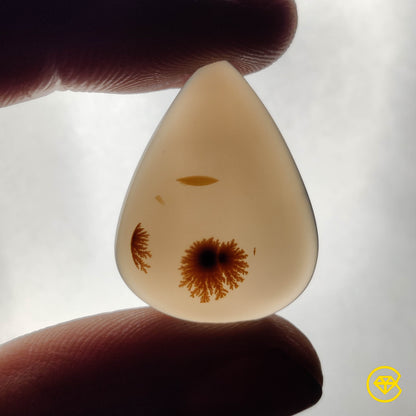 Scenic Agate