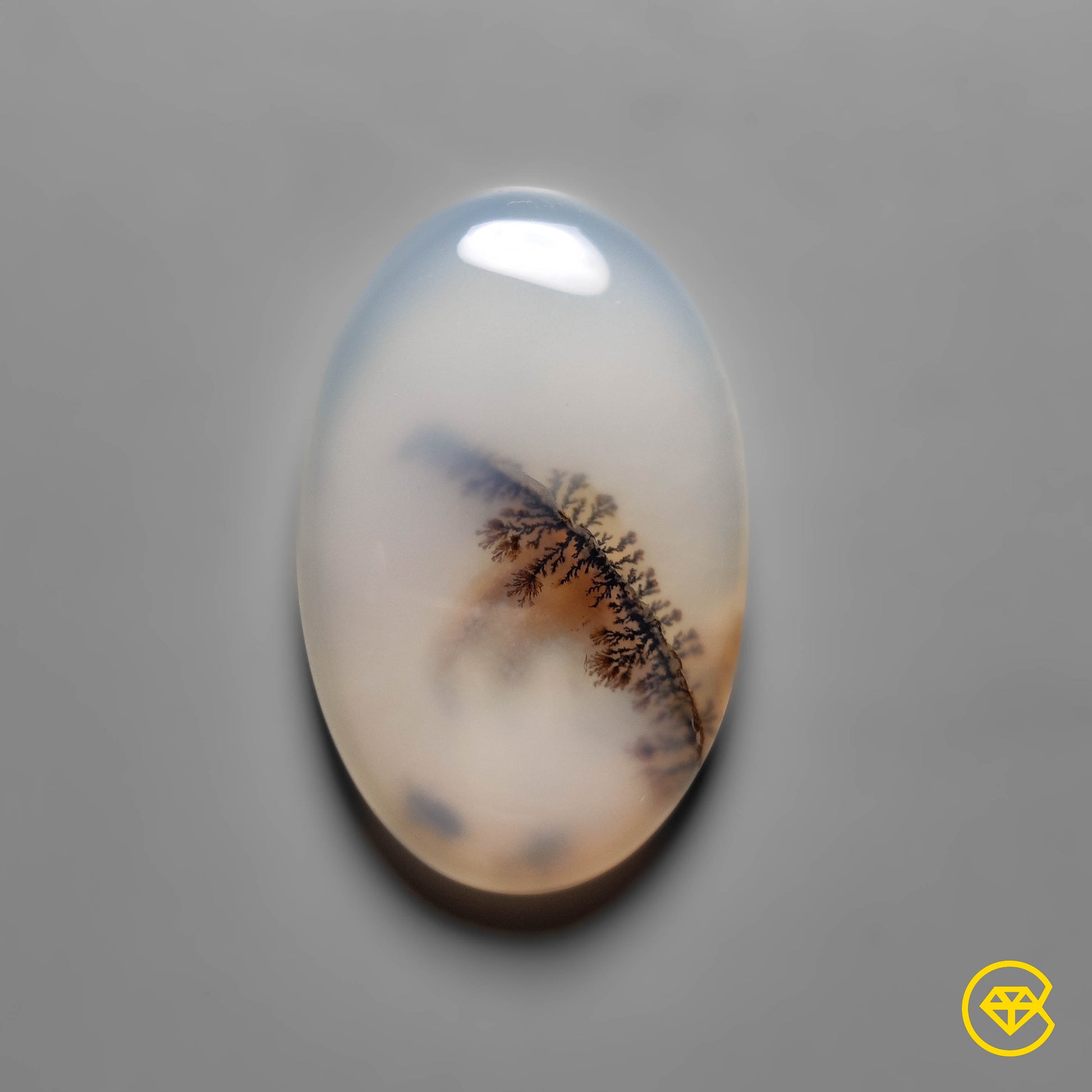 Scenic Agate
