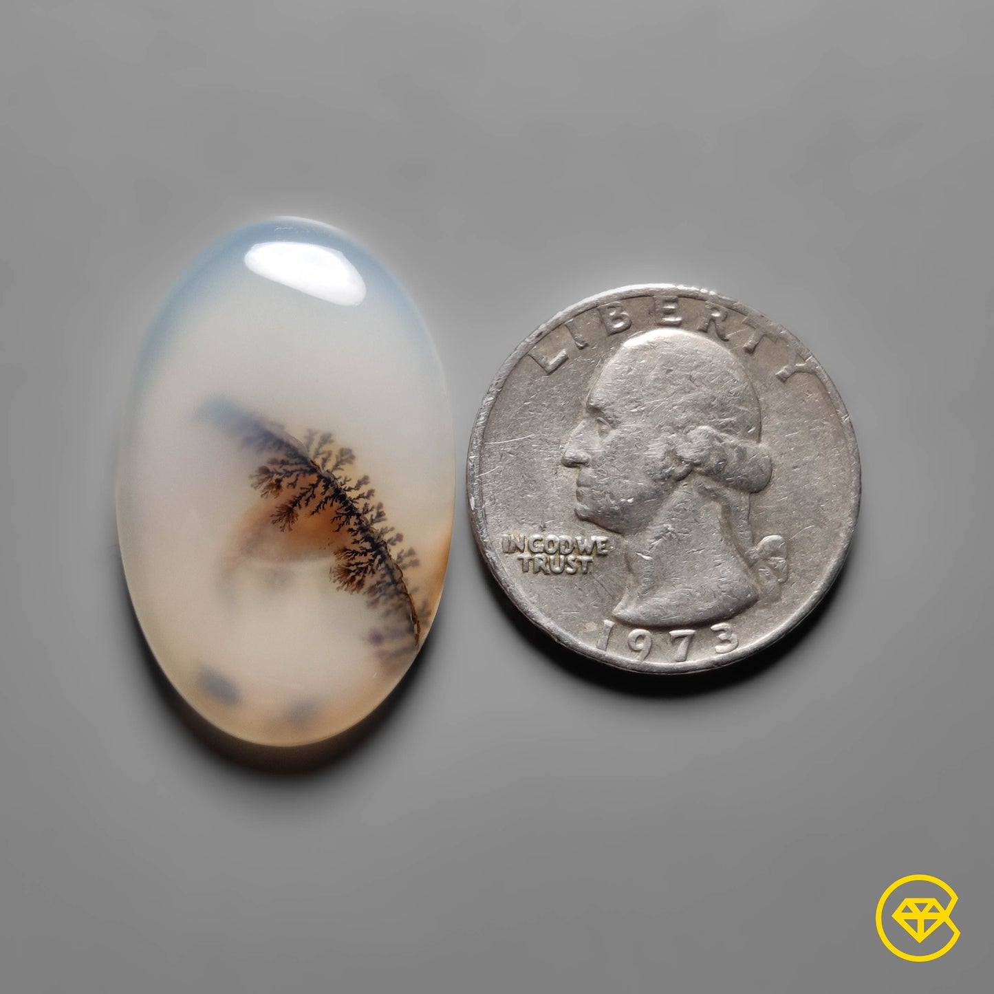 Scenic Agate