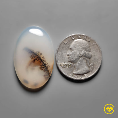 Scenic Agate