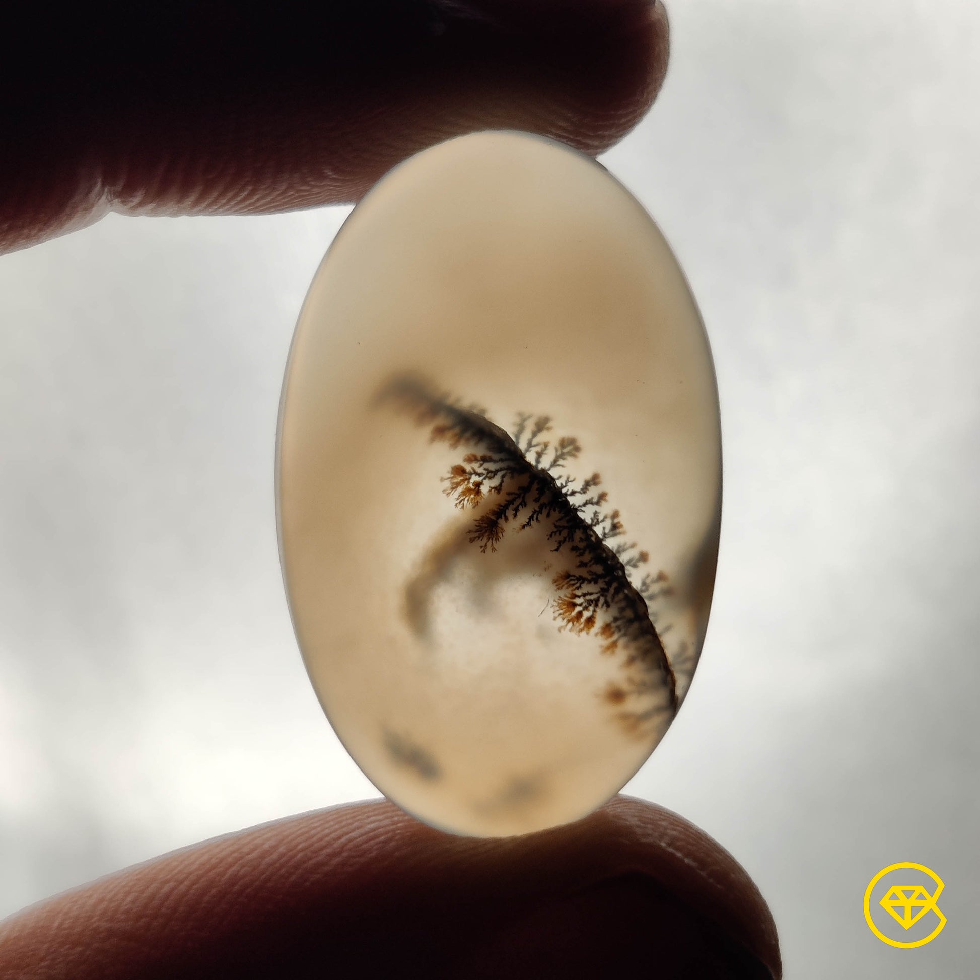 Scenic Agate
