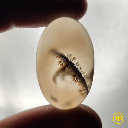 Scenic Agate