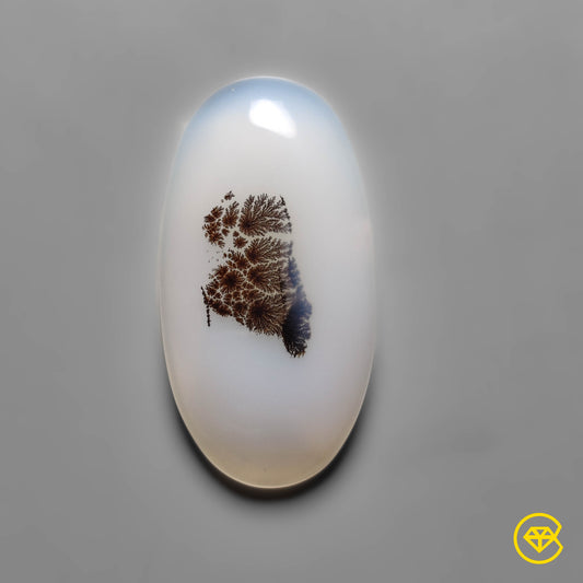 Scenic Agate