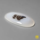 Scenic Agate