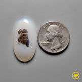 Scenic Agate