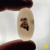 Scenic Agate