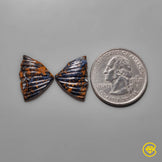 Pietersite
