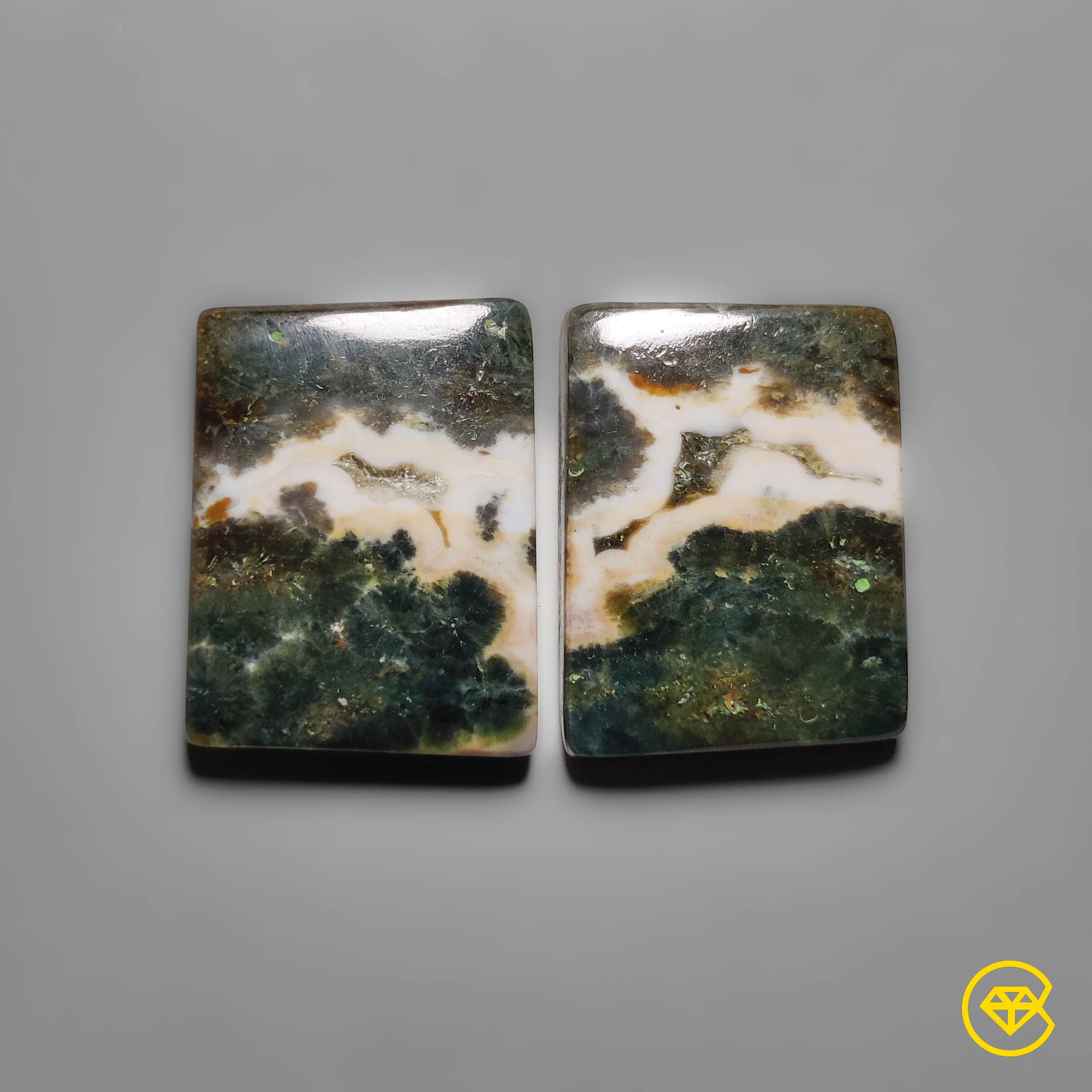 Ocean Jasper
