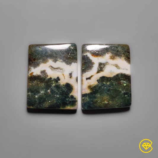 Ocean Jasper
