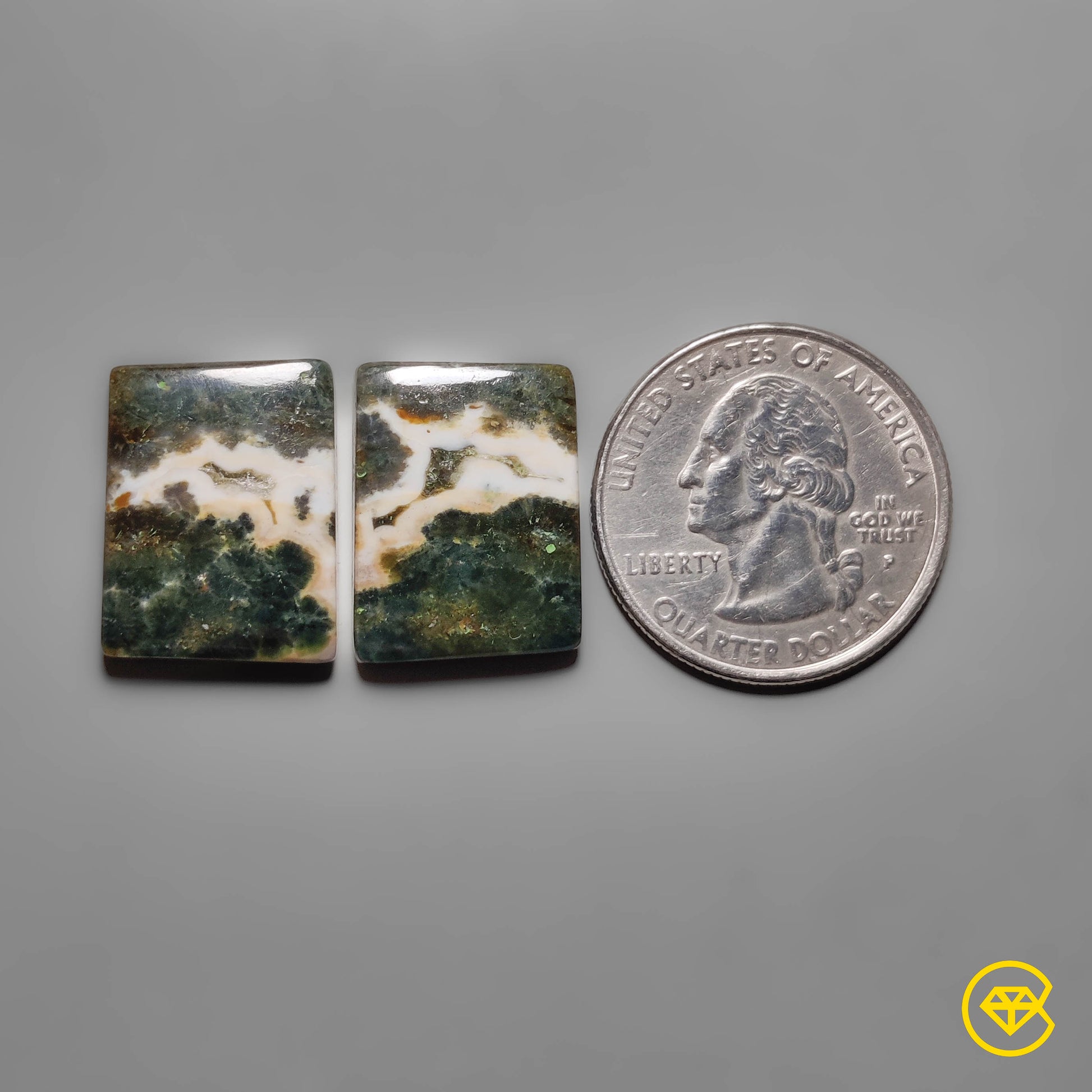 Ocean Jasper