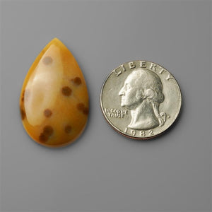 Polka Dot Agate