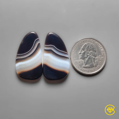 Tuxedo Agate