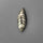 Orthoceras Fossil