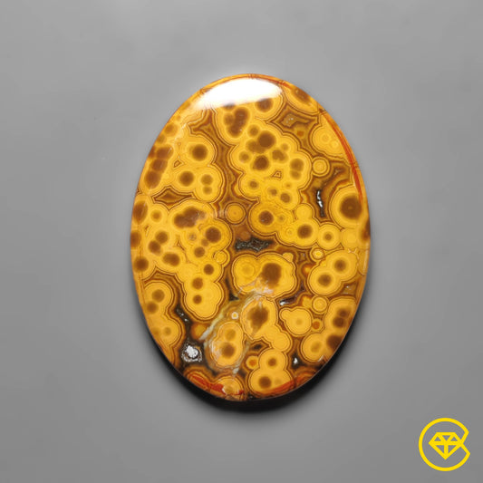 Ocean Jasper