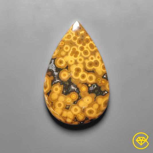 Ocean Jasper
