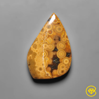 Ocean Jasper