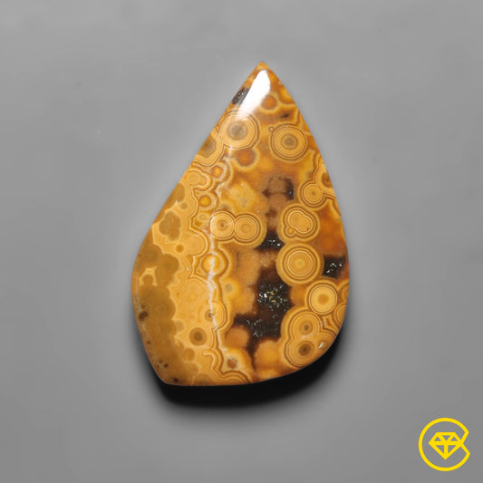 Ocean Jasper