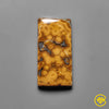 Ocean Jasper