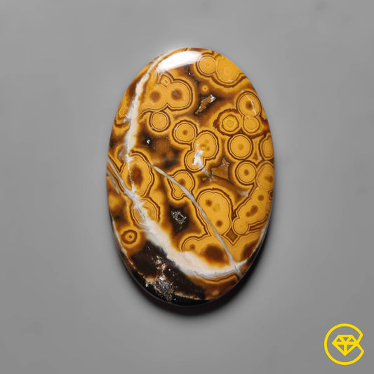 Ocean Jasper