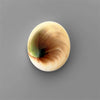 Shell|Shiva Eye Shell
