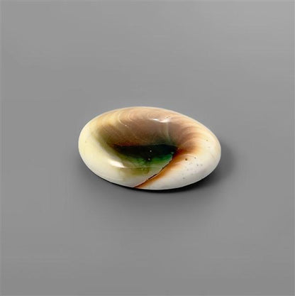 Shell|Shiva Eye Shell