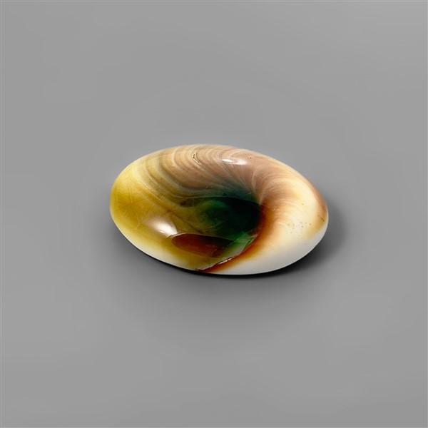 Shell|Shiva Eye Shell