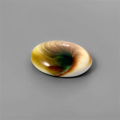 Shell|Shiva Eye Shell