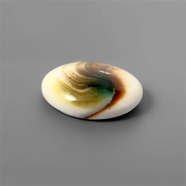 Shell|Shiva Eye Shell