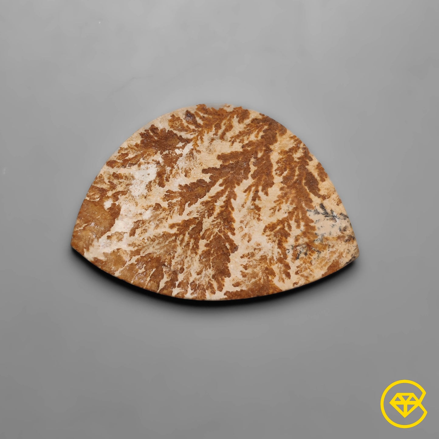Dendritic Agate