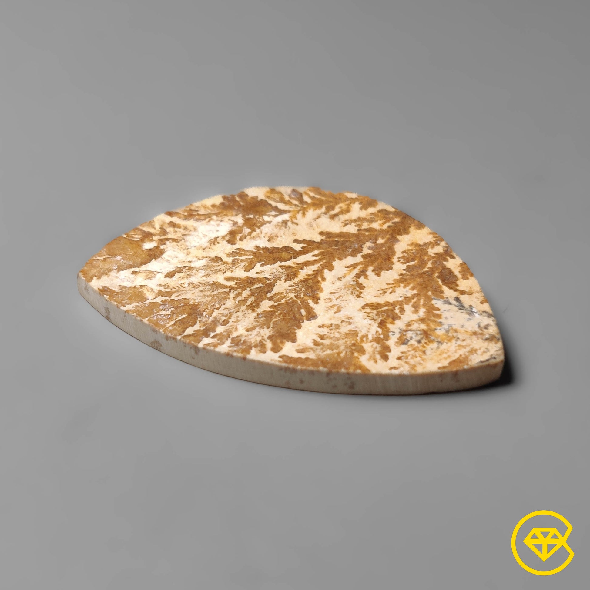Dendritic Agate