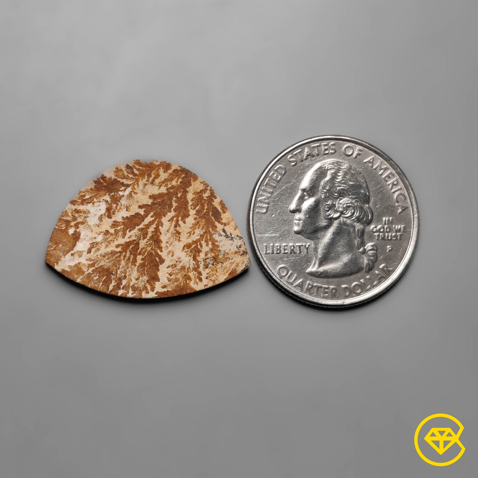 Dendritic Agate