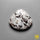 Astrophyllite