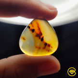 Montana Agate