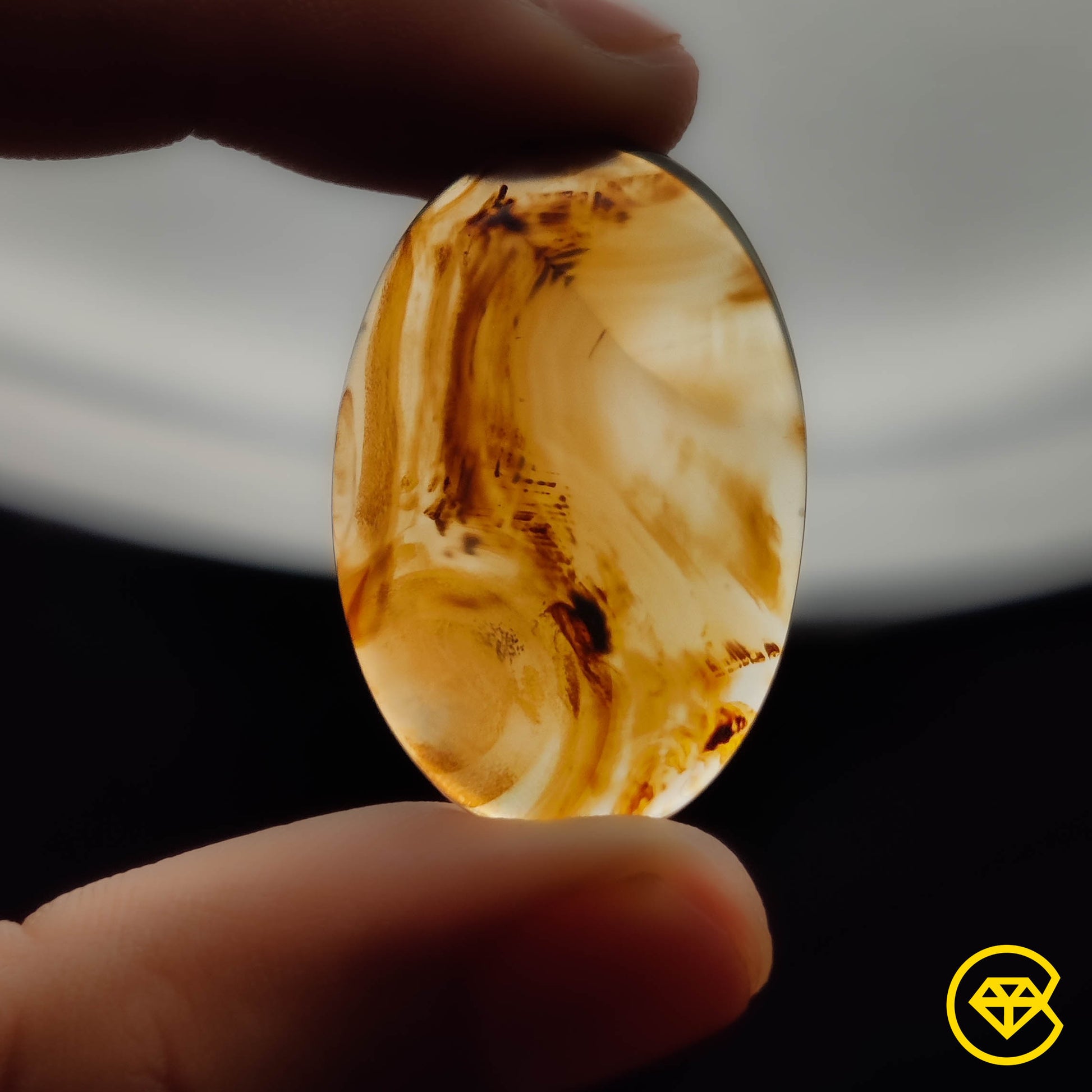 Montana Agate
