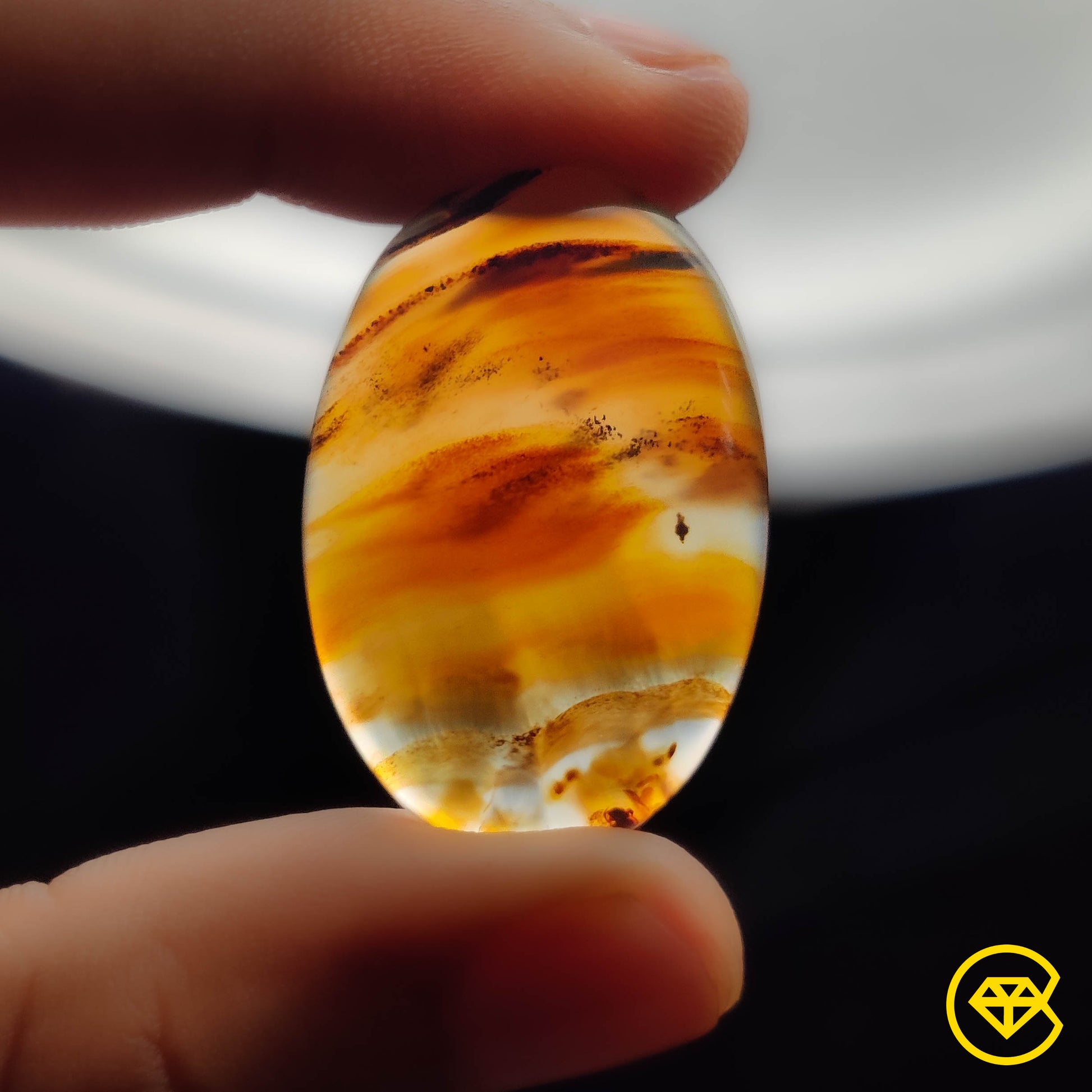 Montana Agate
