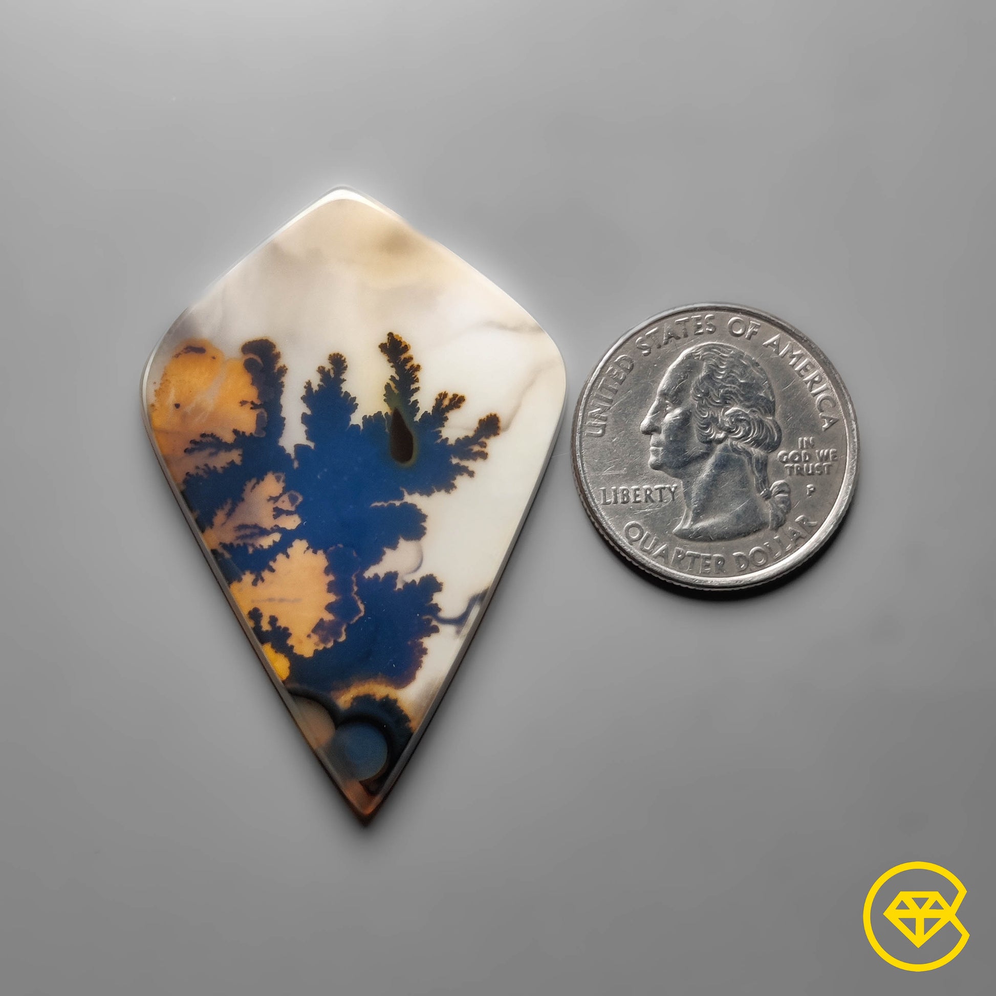 Scenic Agate